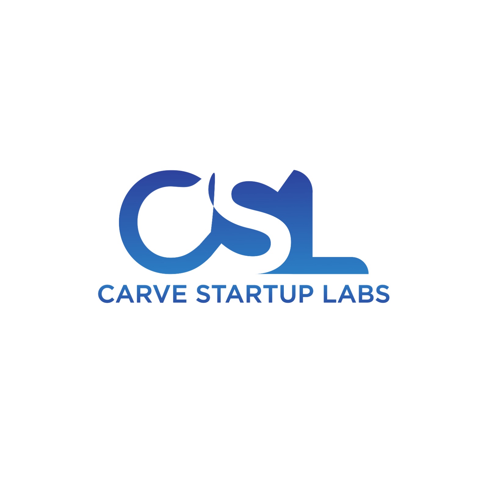 Carve Startup Labs