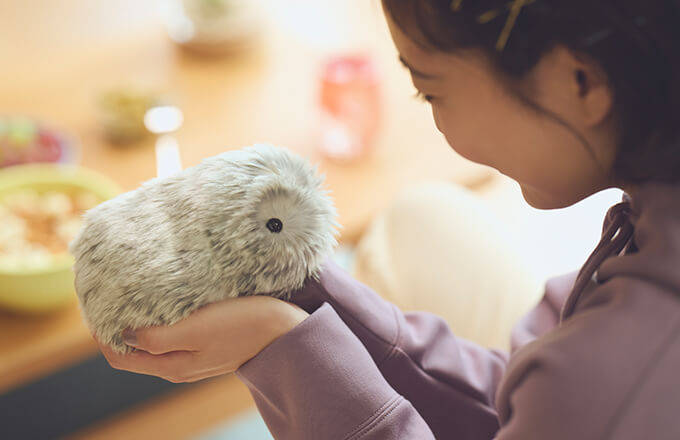 ロボット大集合！コミュニケーションロボットとお話ししよう